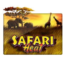 Safari Heat - ZONABET138
