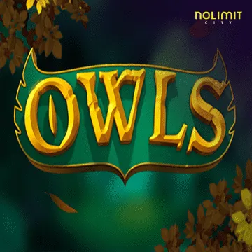 Owls - ZONABET138