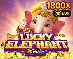 Lucky Elephant X-Huge - ZONABET138