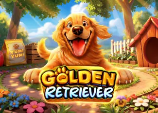 Golden Retriever - ZONABET138