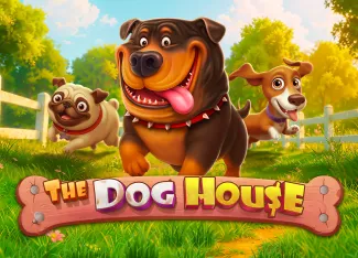 The Dog House - ZONABET138